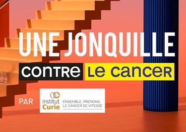 banner_hp_orange_multi_centre_joncquille