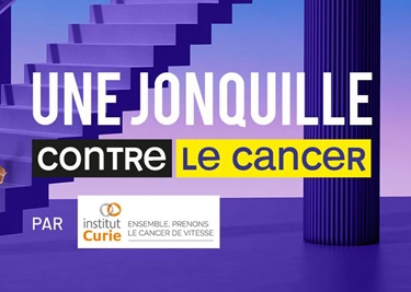 banner_hp_violet_multi_centre_joncquille