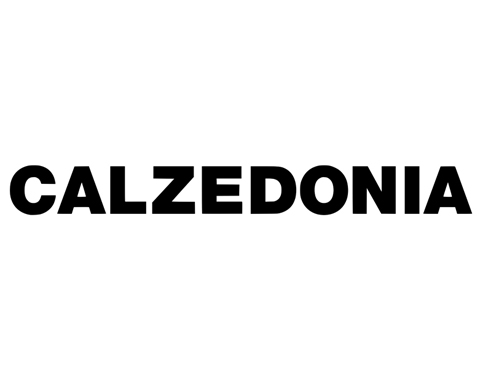 calzedonia-480x388