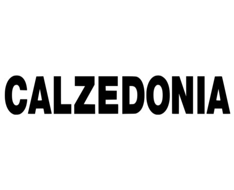 calzedonia-658