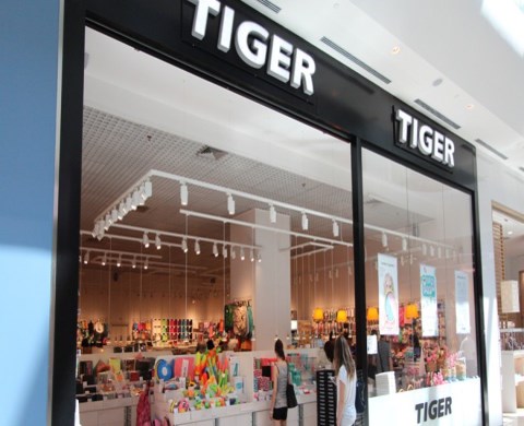 tiger-873