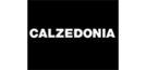calzedonia-891